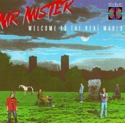 Mr. Mister : Welcome To The Real World